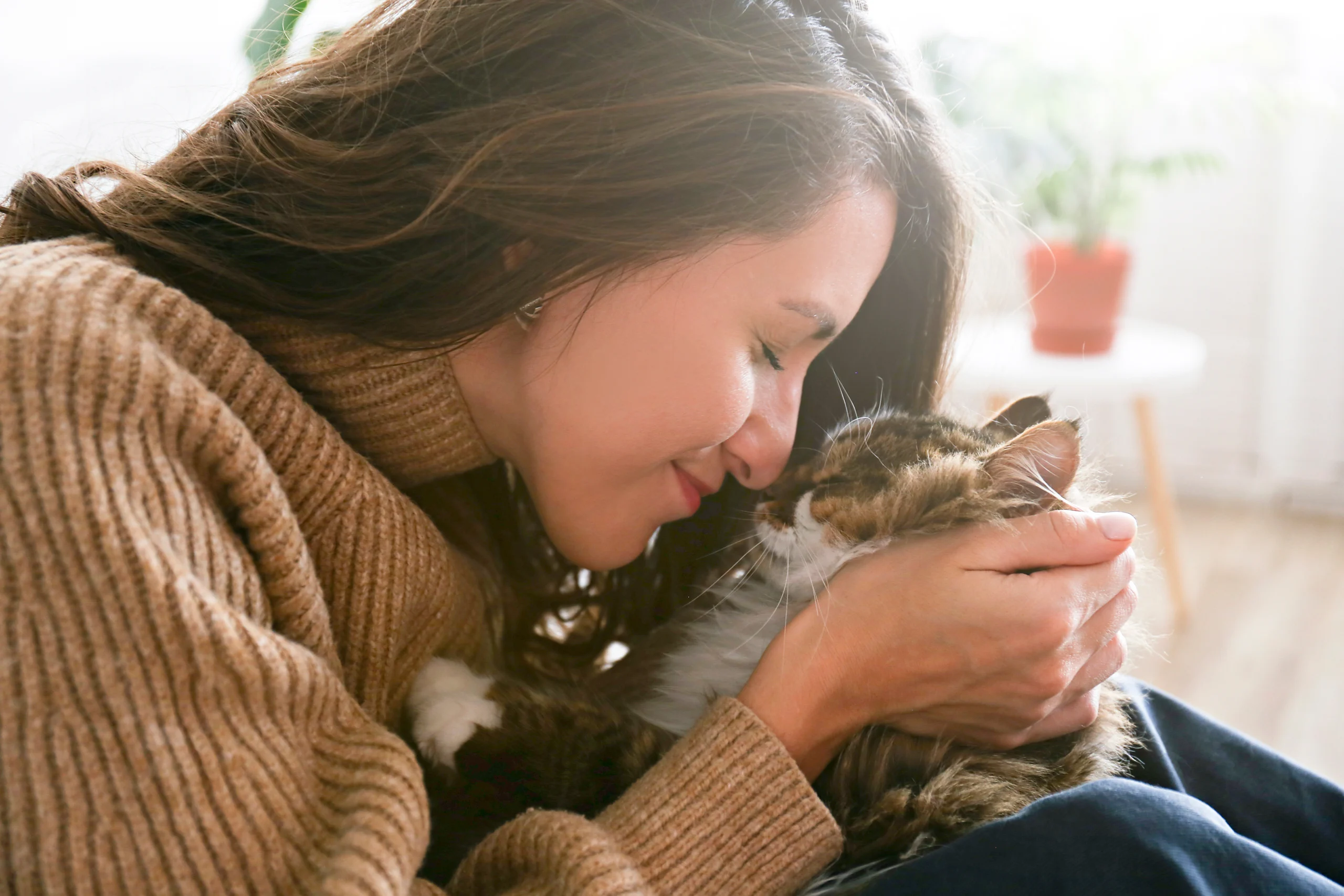 Emotional Support Animal - Cat