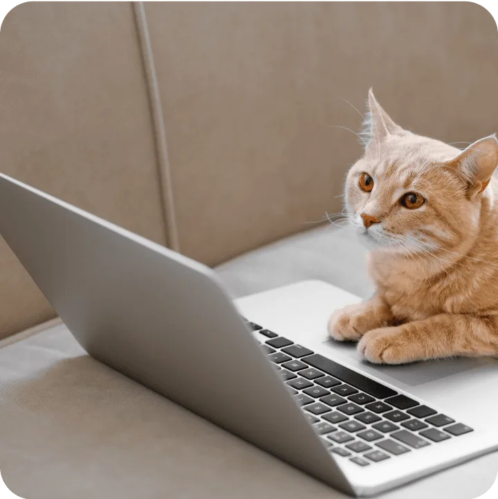 Embrace Payment Terms