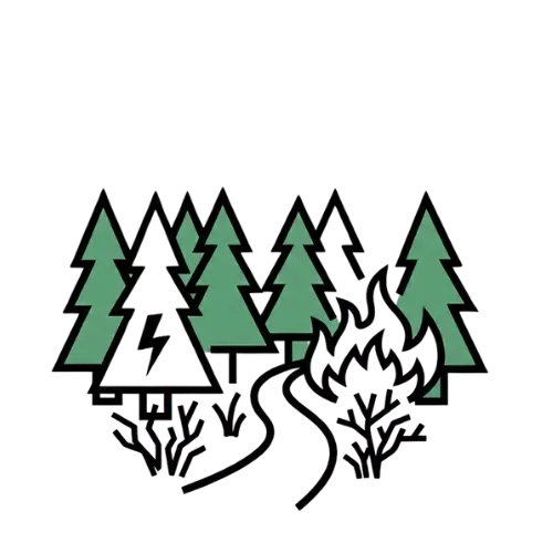 Canopy Roads & Forest Hazards