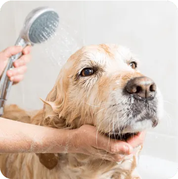 Wellness Care in Ohio