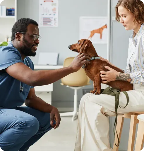Getting Pet Insurance Even with Existing Health Issues