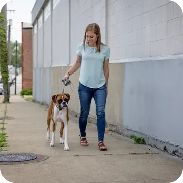 Central New York Living: Your Pet's Outdoor Lifestyle