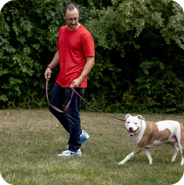 Hurricane Season in Miami: Your Pet's Safety Net