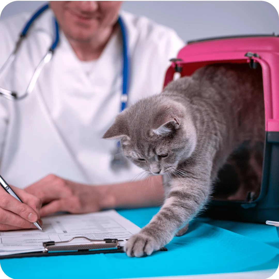 Methods of Calculating Claim Reimbursements