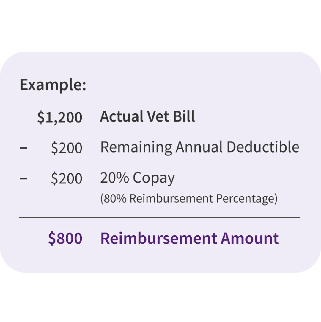 The "Deductible then Copay" Reimbursement Method