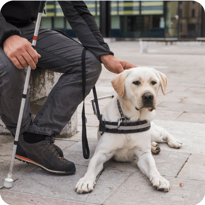 Measures to Support Accessibility