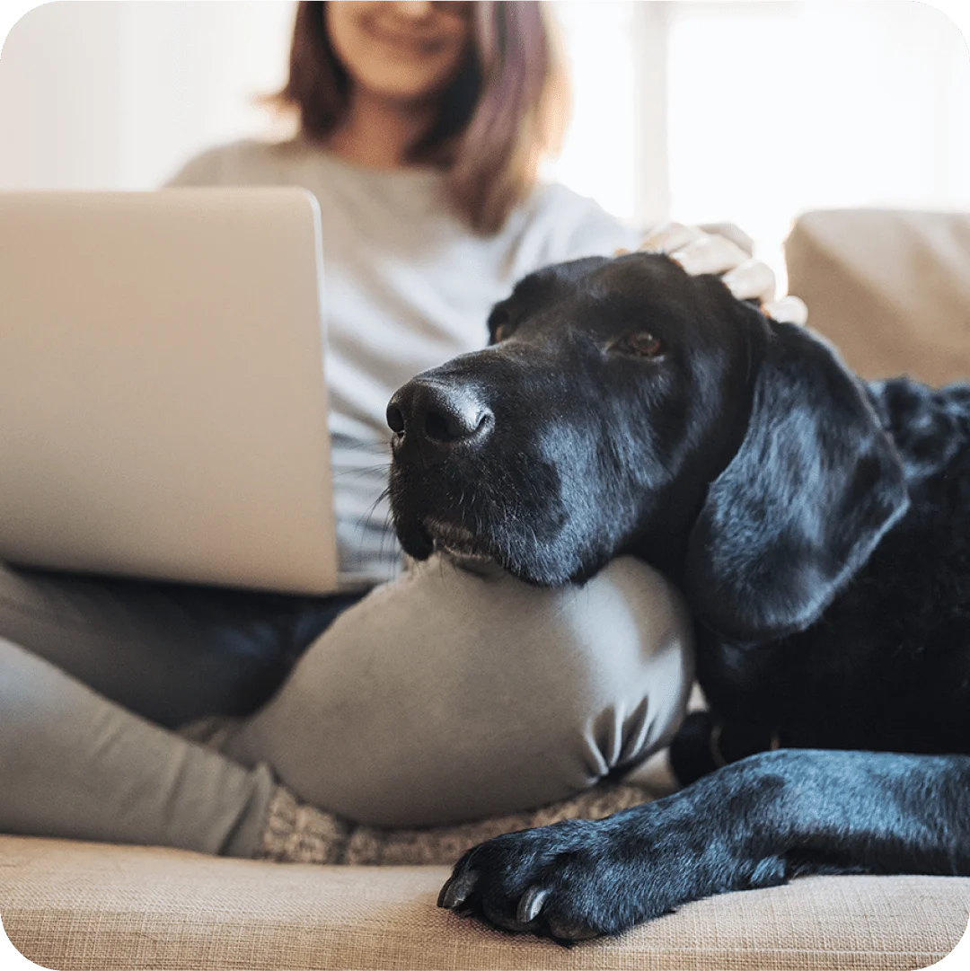 Making the Most of Your Pet's Final Days