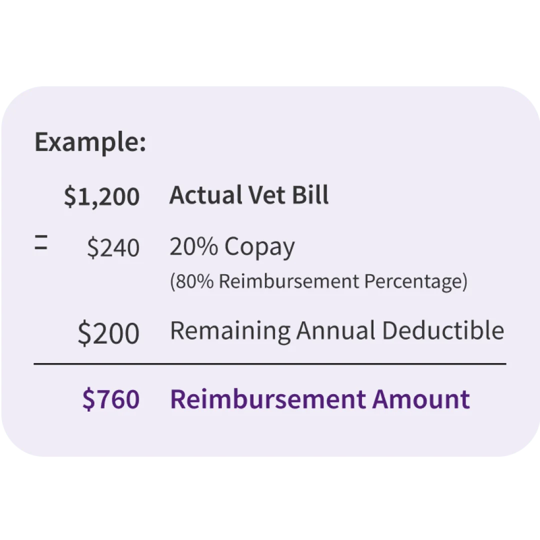The “Copay then Deductible” Reimbursement Method