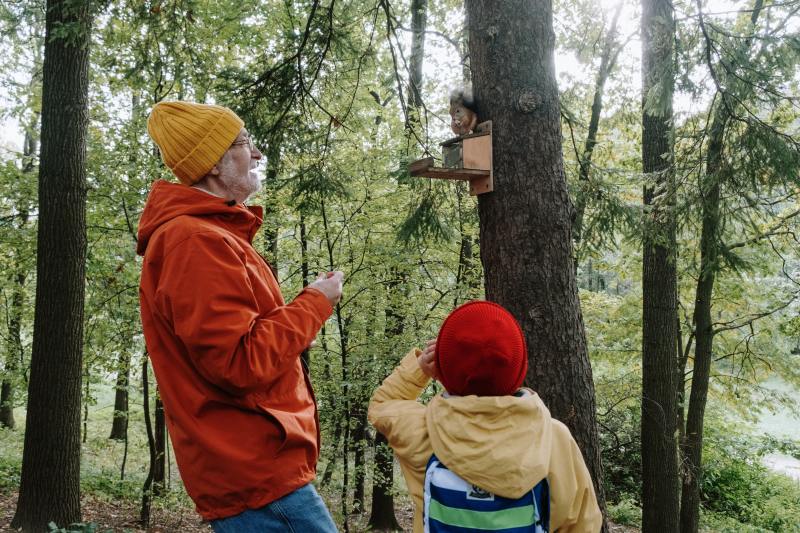 bos van natuurhuisje