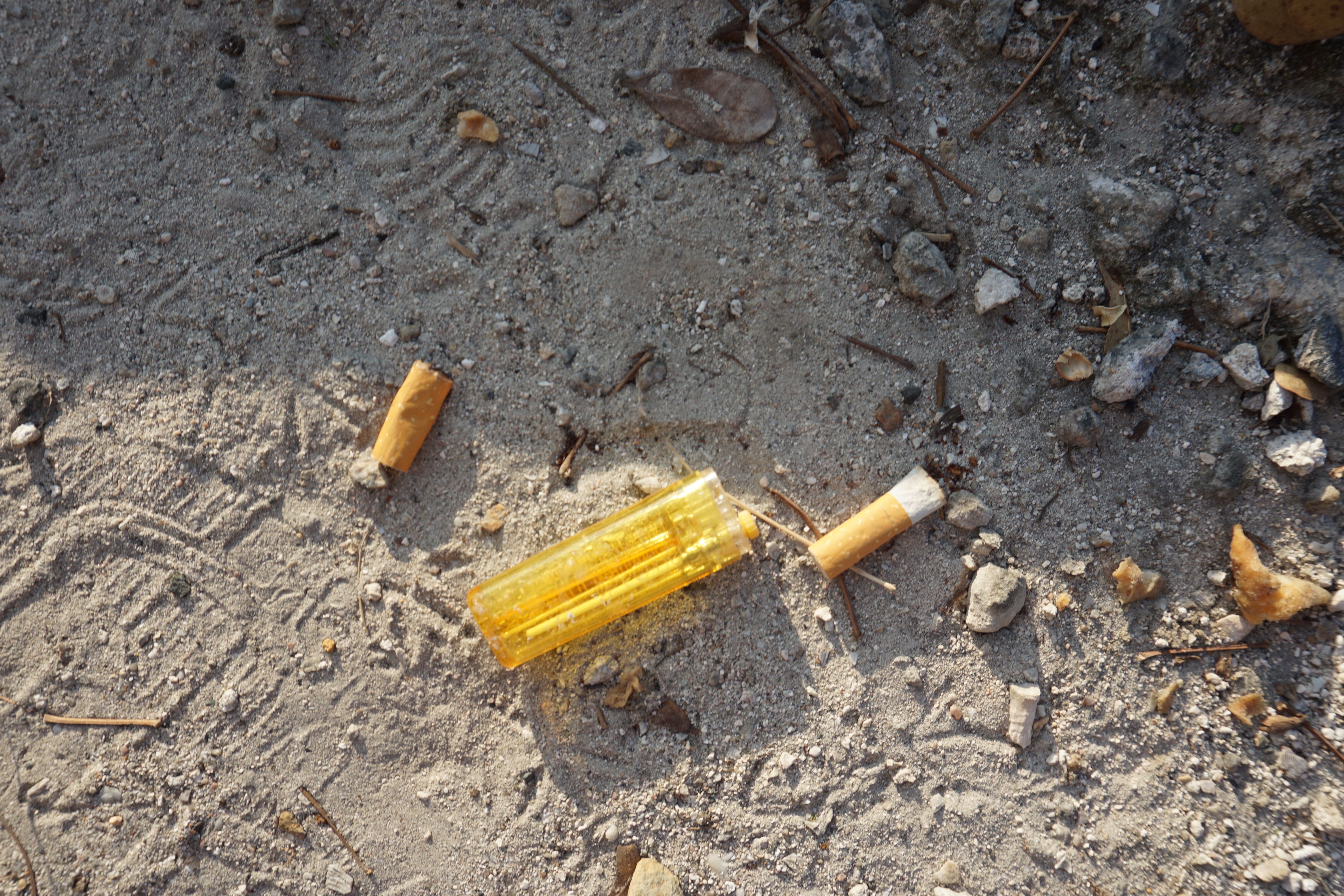 Litter Ally Cigarette Butts Marine Debris Tracker   DSC00636.JPG