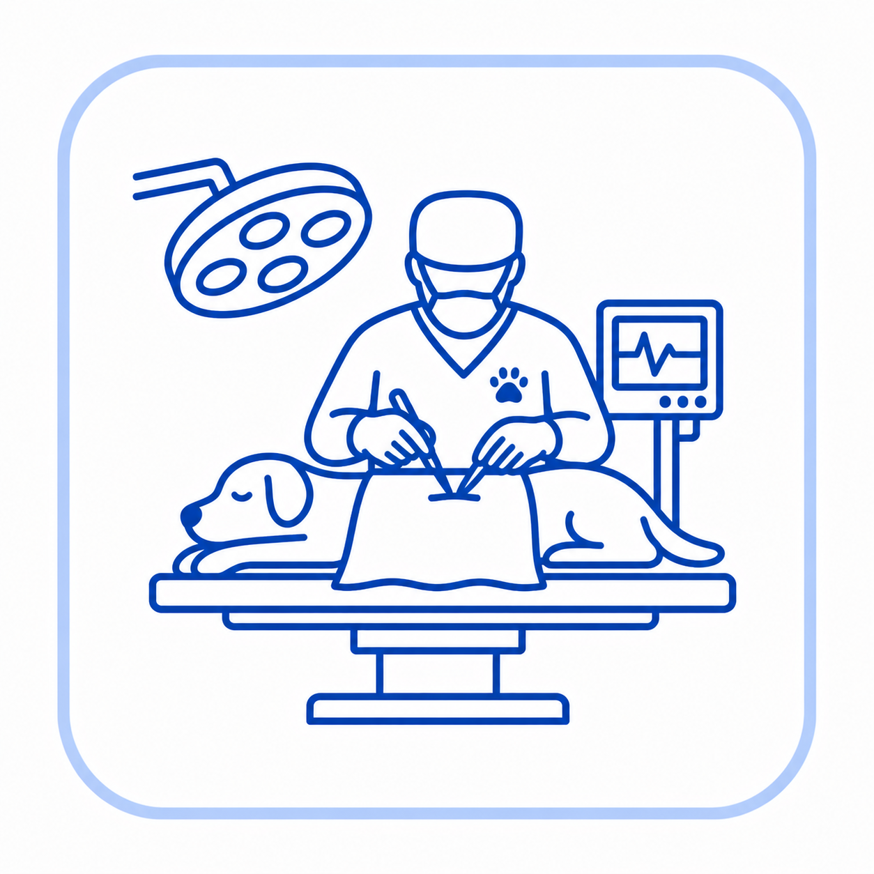 Surgical Checklist for Veterinary