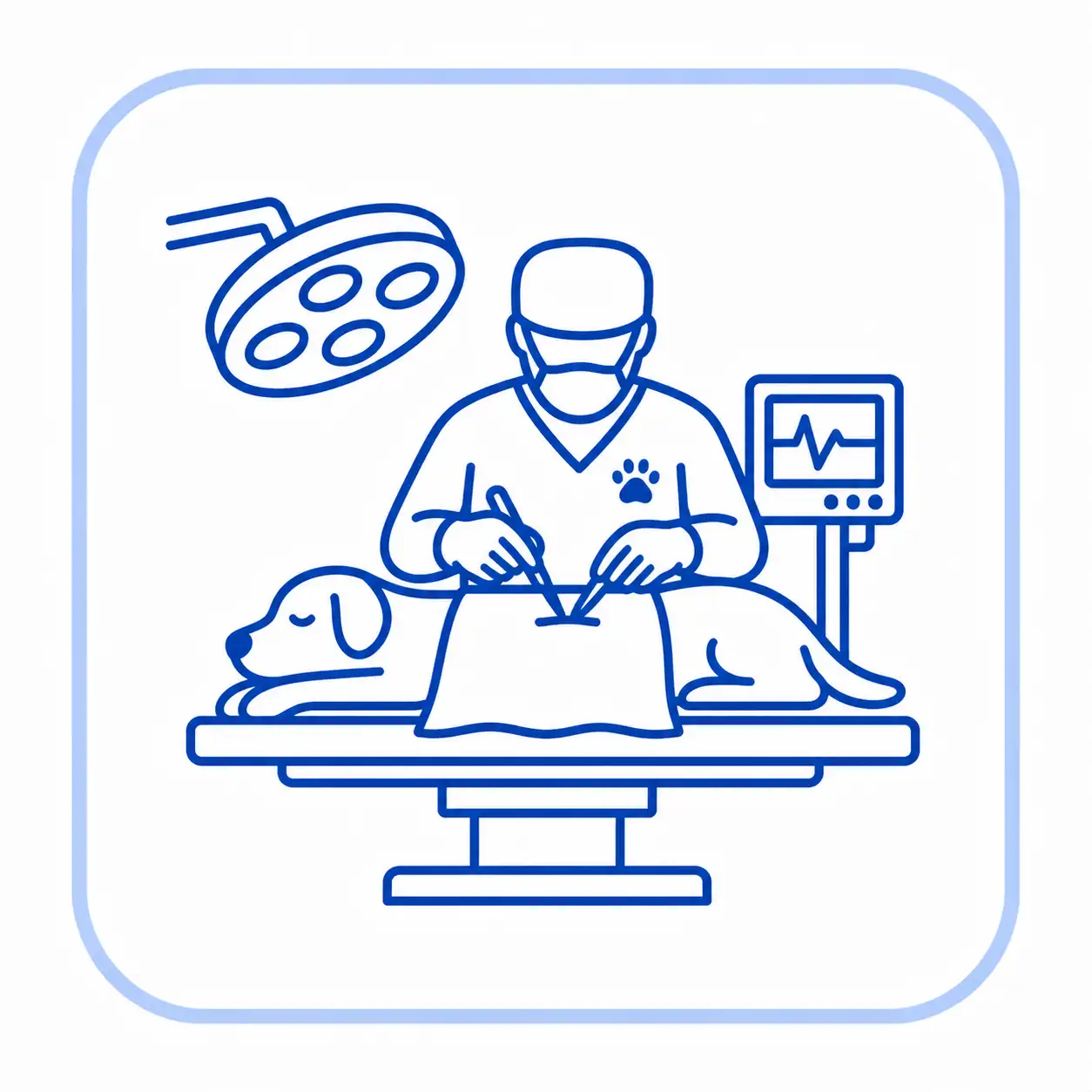 Surgical Checklist for Veterinary