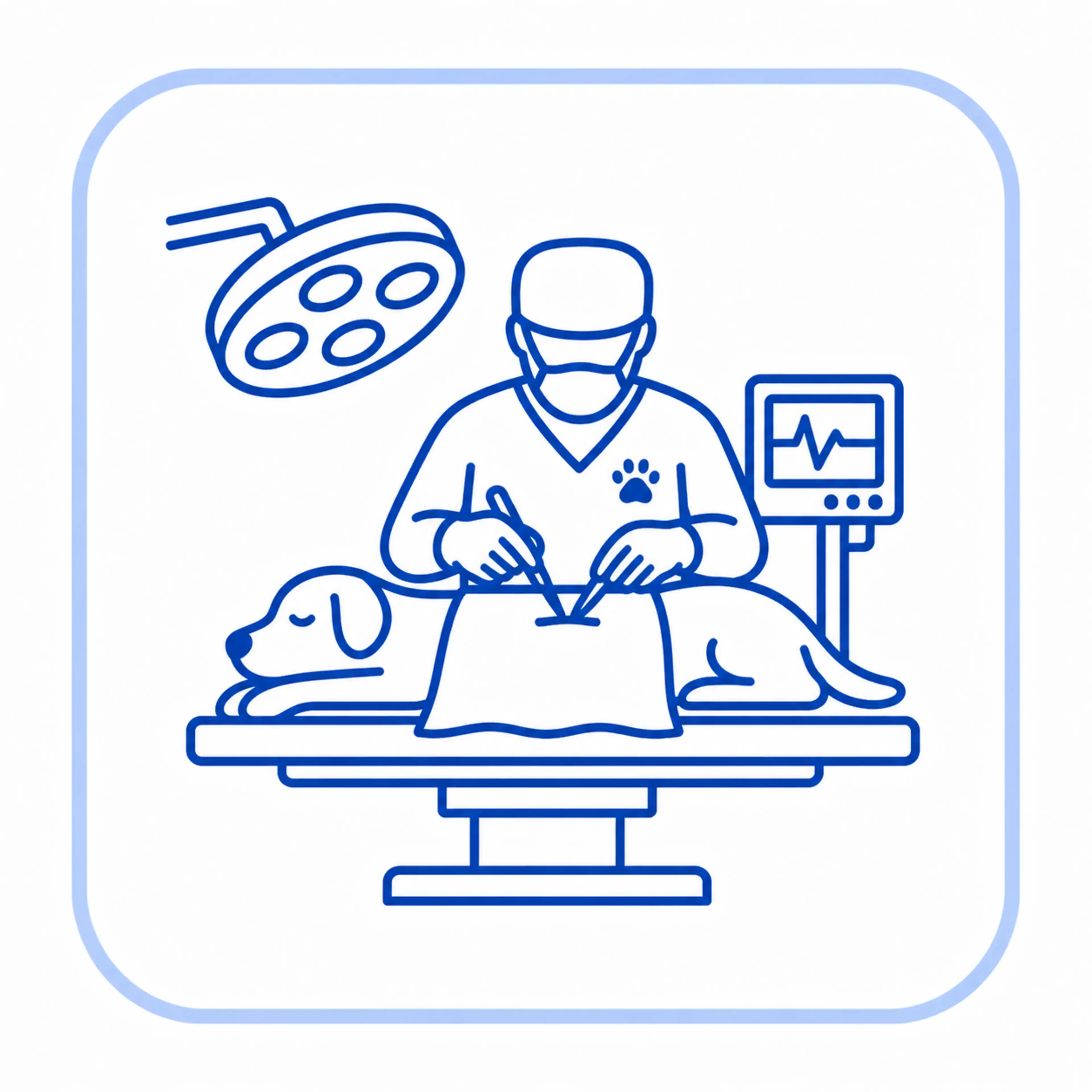 Surgical Checklist for Veterinary