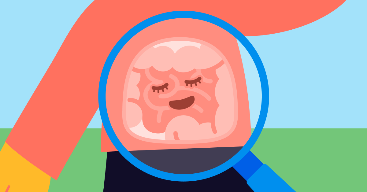 The important gut flora The important gut flora
