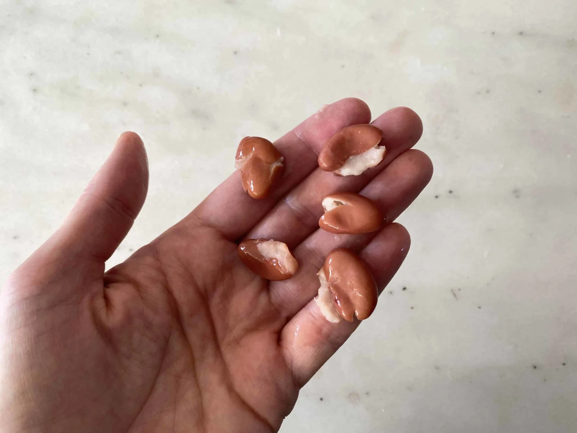 a hand holding five flattened kidney beans for babies 9 months +