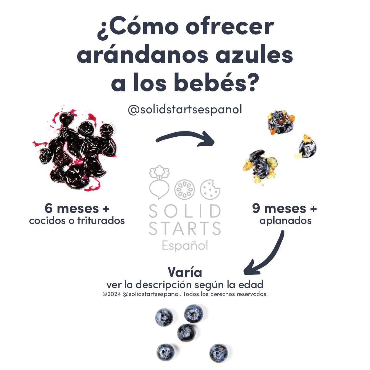 a Solid Starts infographic with the header "How to Serve Blueberries to Babies": cooked/smashed for 6 mos+, flattened for 9 mos+, and varies for whole berries