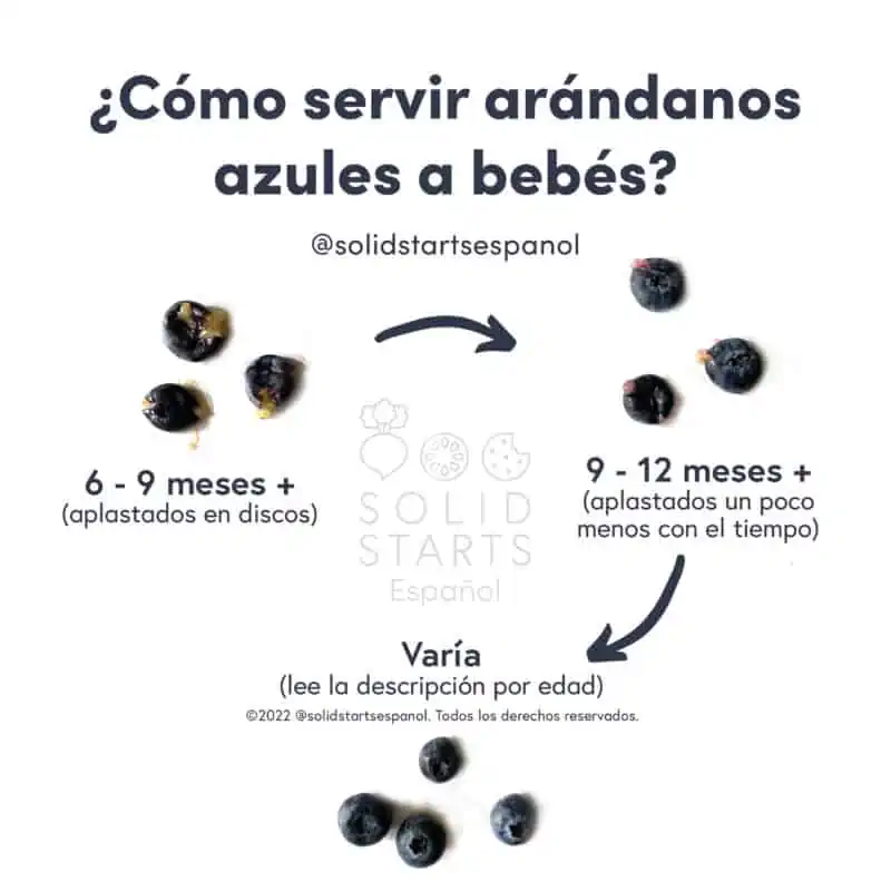 a Solid Starts infographic with the header "How to Serve Blueberries to Babies": flattened into discs for 6-9 mos, flattened a bit less over time for 9-12 mos, and varies for whole berries