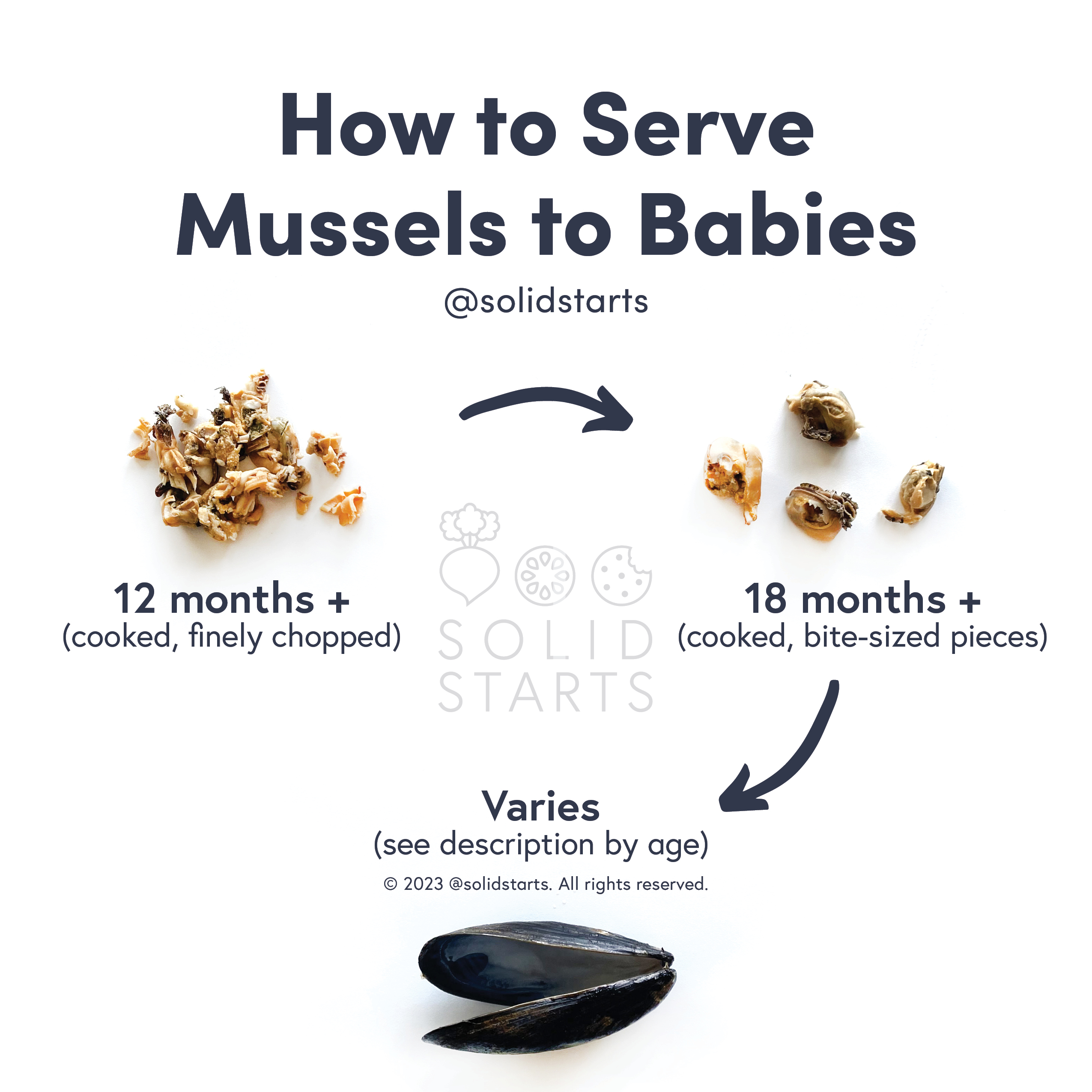 Solid Starts Mussels For Babies How To Serve Mussels For Babies solid-starts-mussels-for-babies-how-to-serve-mussels-for-babies
