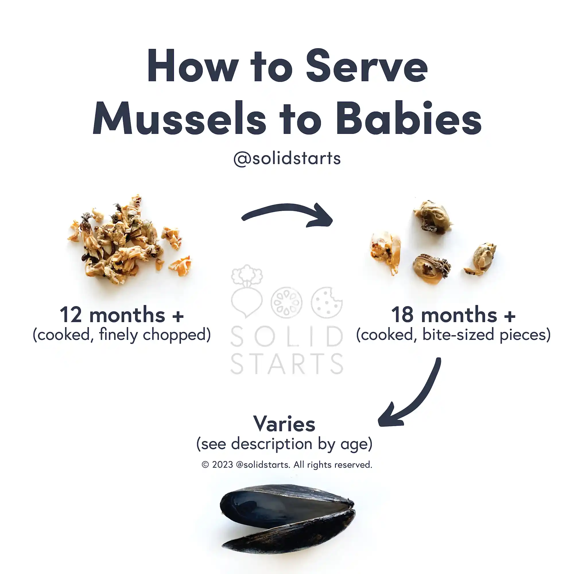 Solid Starts Mussels for Babies First Foods