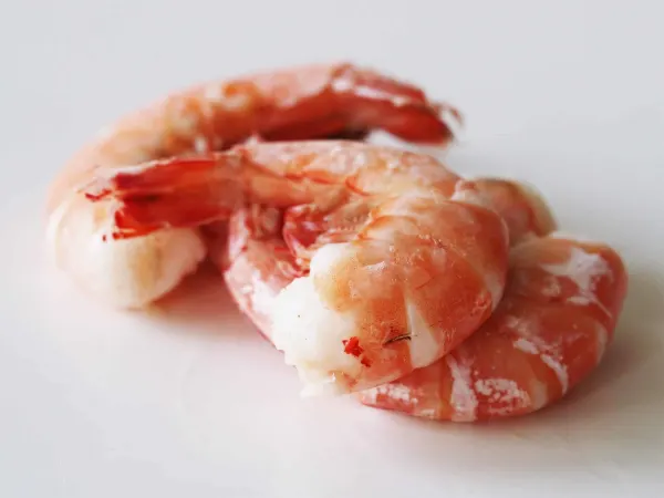 3 cooked shrimp with tail on before being prepared for babies starting solids