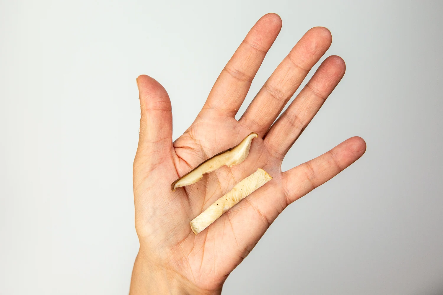 Shiitake thin slices hand pic