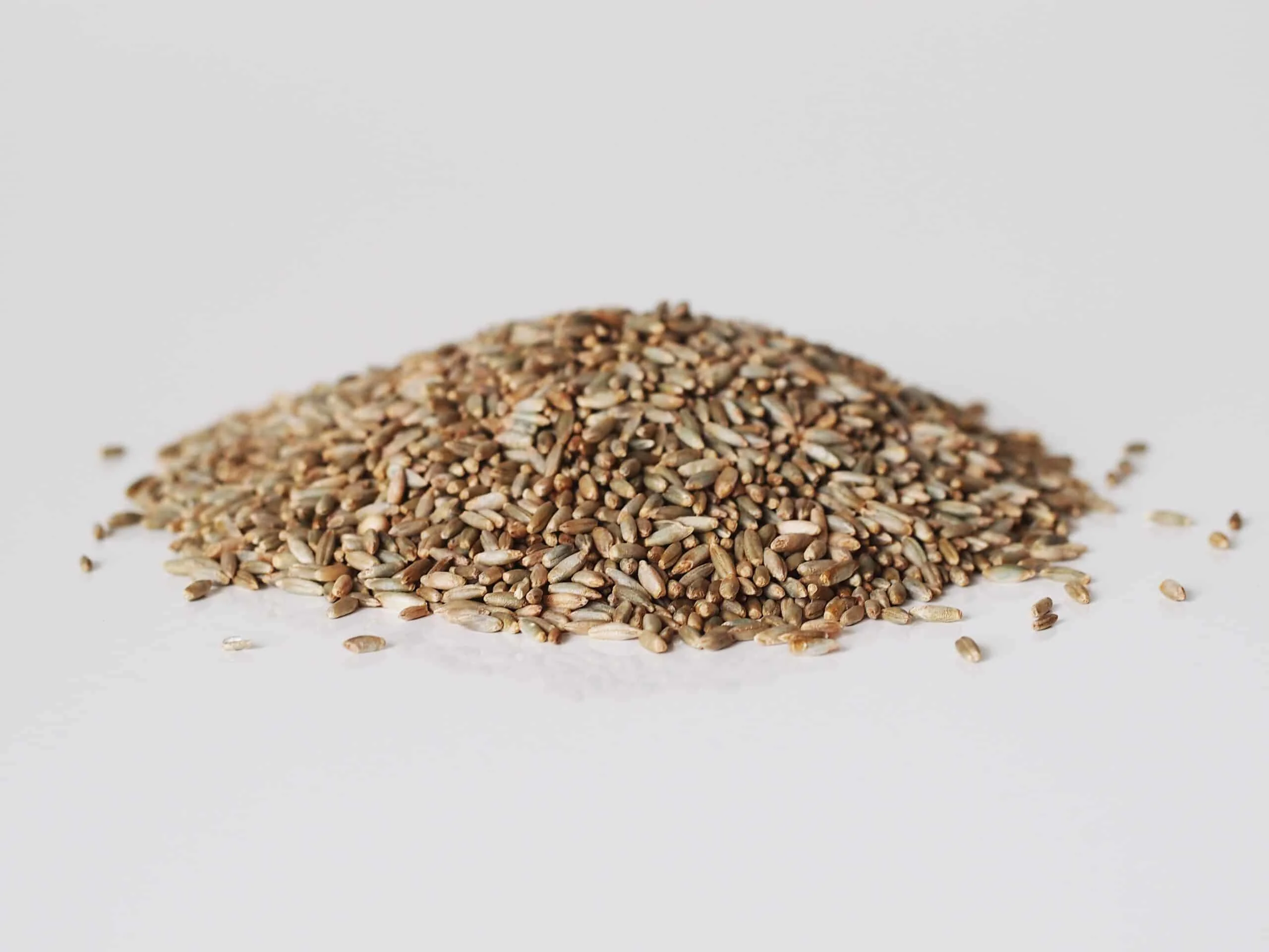 a pile of uncooked rye ready to be prepared for babies starting solids