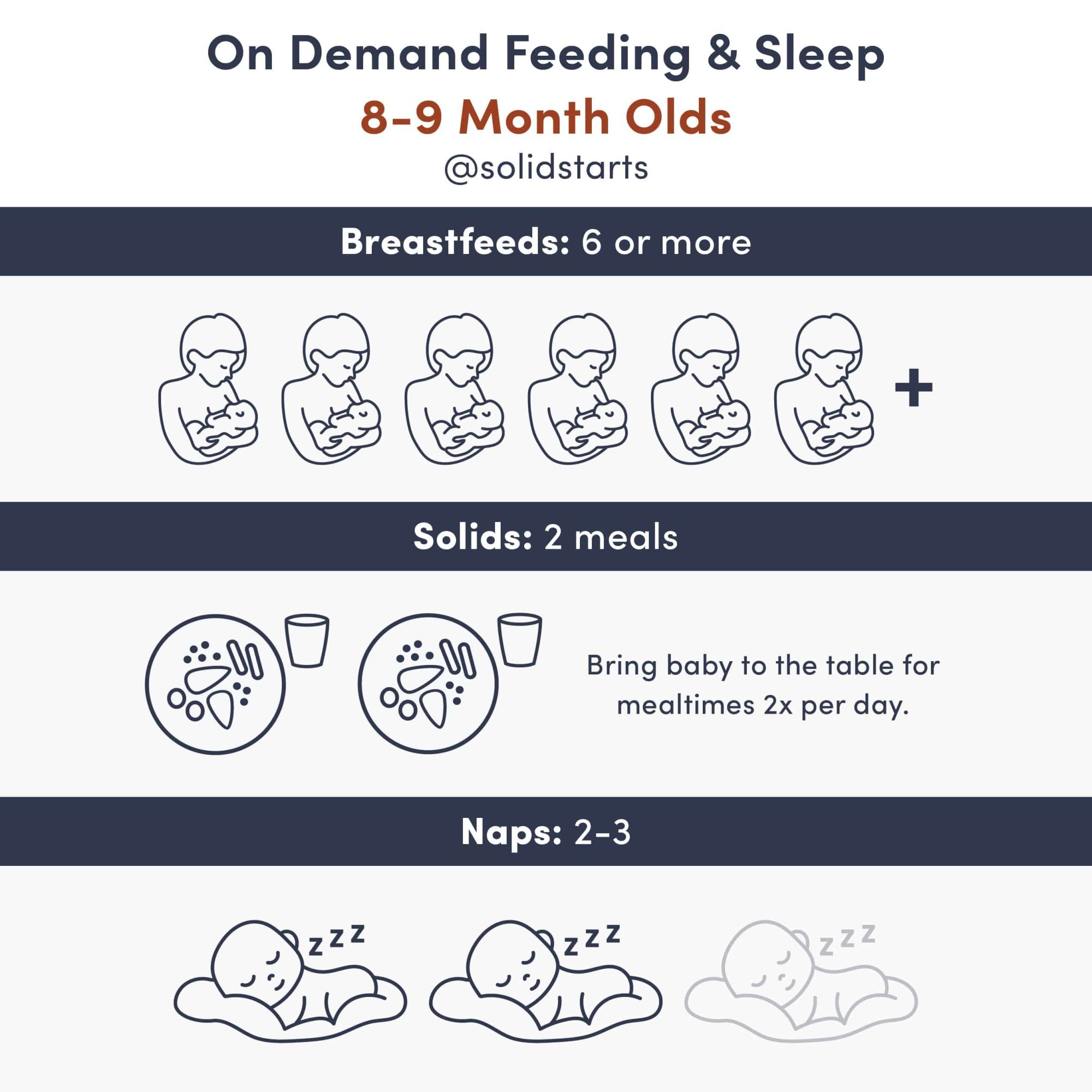 Baby Feeding Essentials: 6 Months