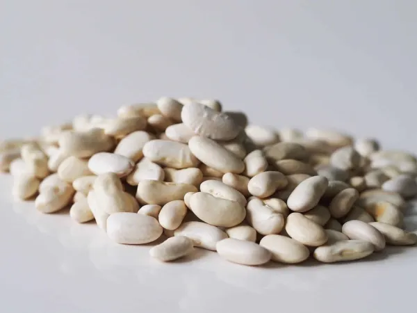 a pile of cannellini beans on a table before being prepared for babies starting solids