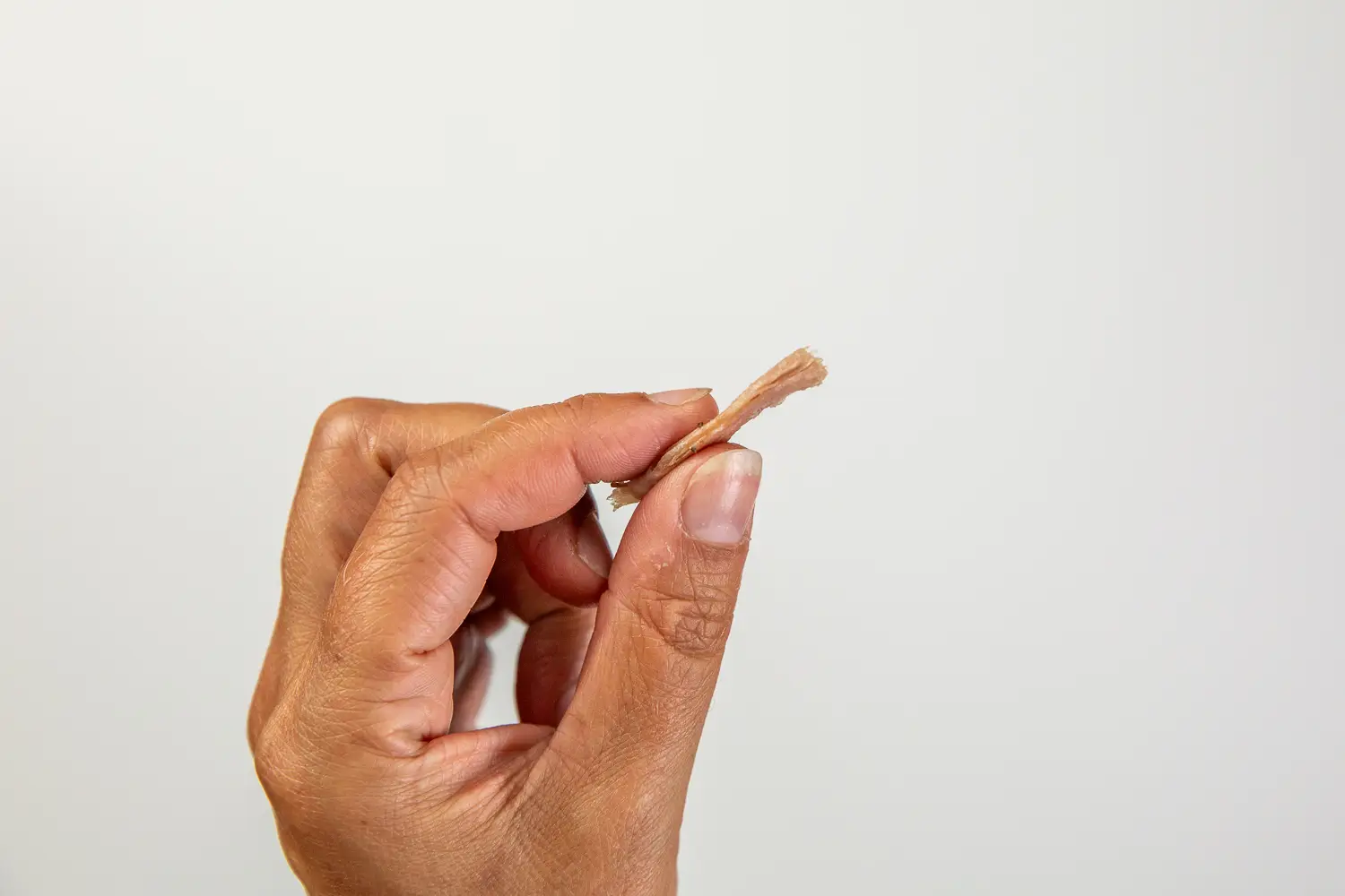 a photograph holding a small shred of meat torn from the bone