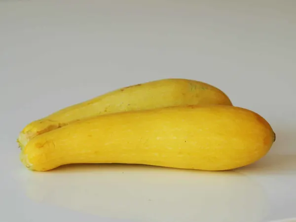 two whole, raw yellow summer squash lying next to each other on a white background