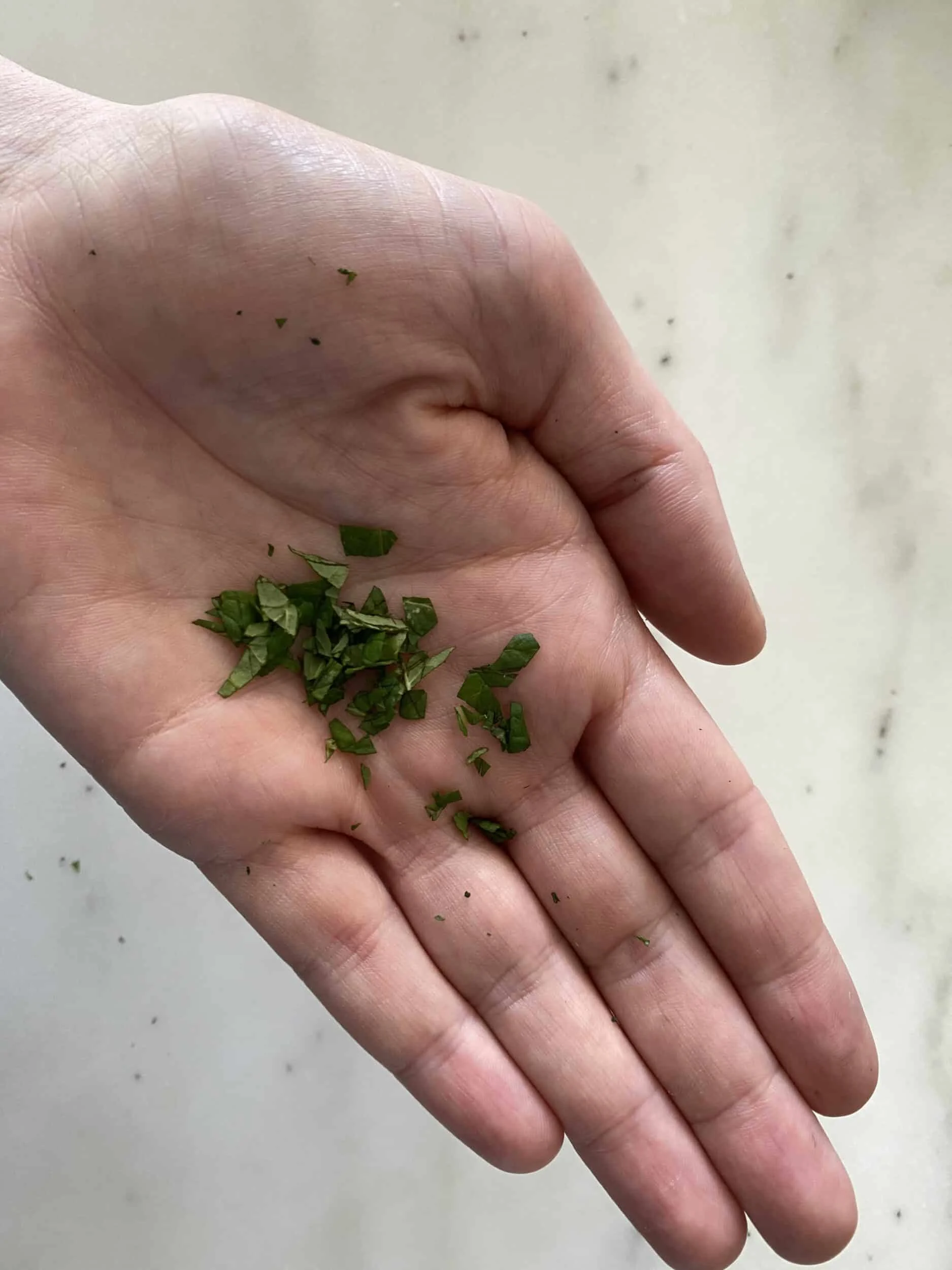 finely chopped fresh mint in a hand before being given to babies starting solids