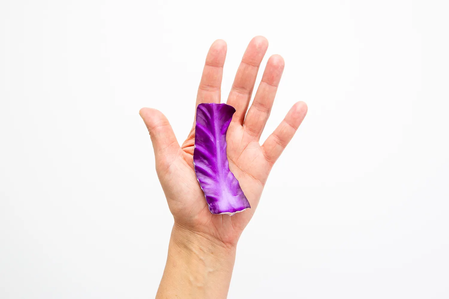 a photograph of a hand holding a raw strip of cabbage