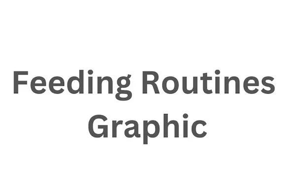Feeding Routines Graphic Test