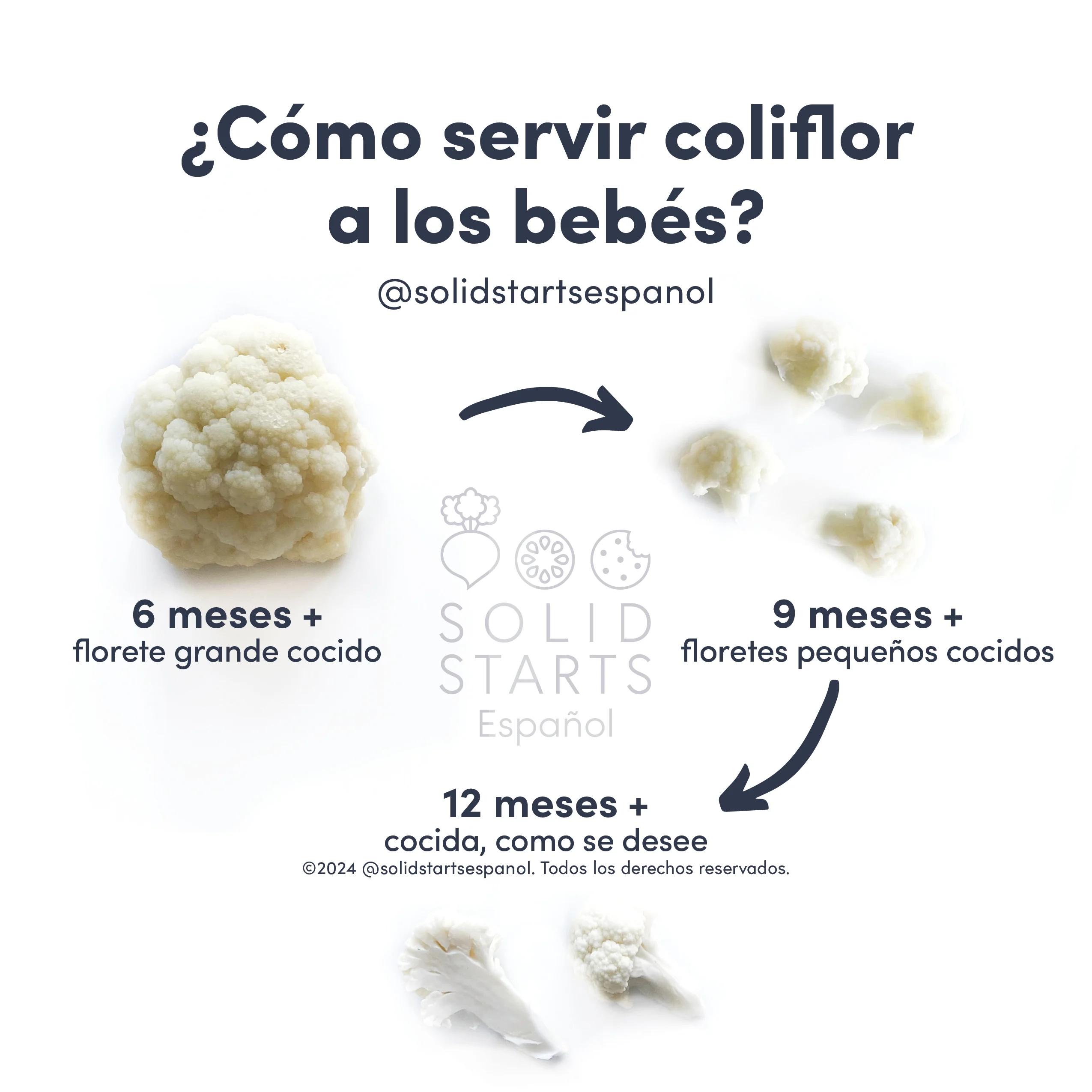 a Solid Starts infographic with the header How to Cut Cauliflower for Babies: large, cooked florets for 6 months+, small cooked florets for 9 months+, and raw florets (age varies)