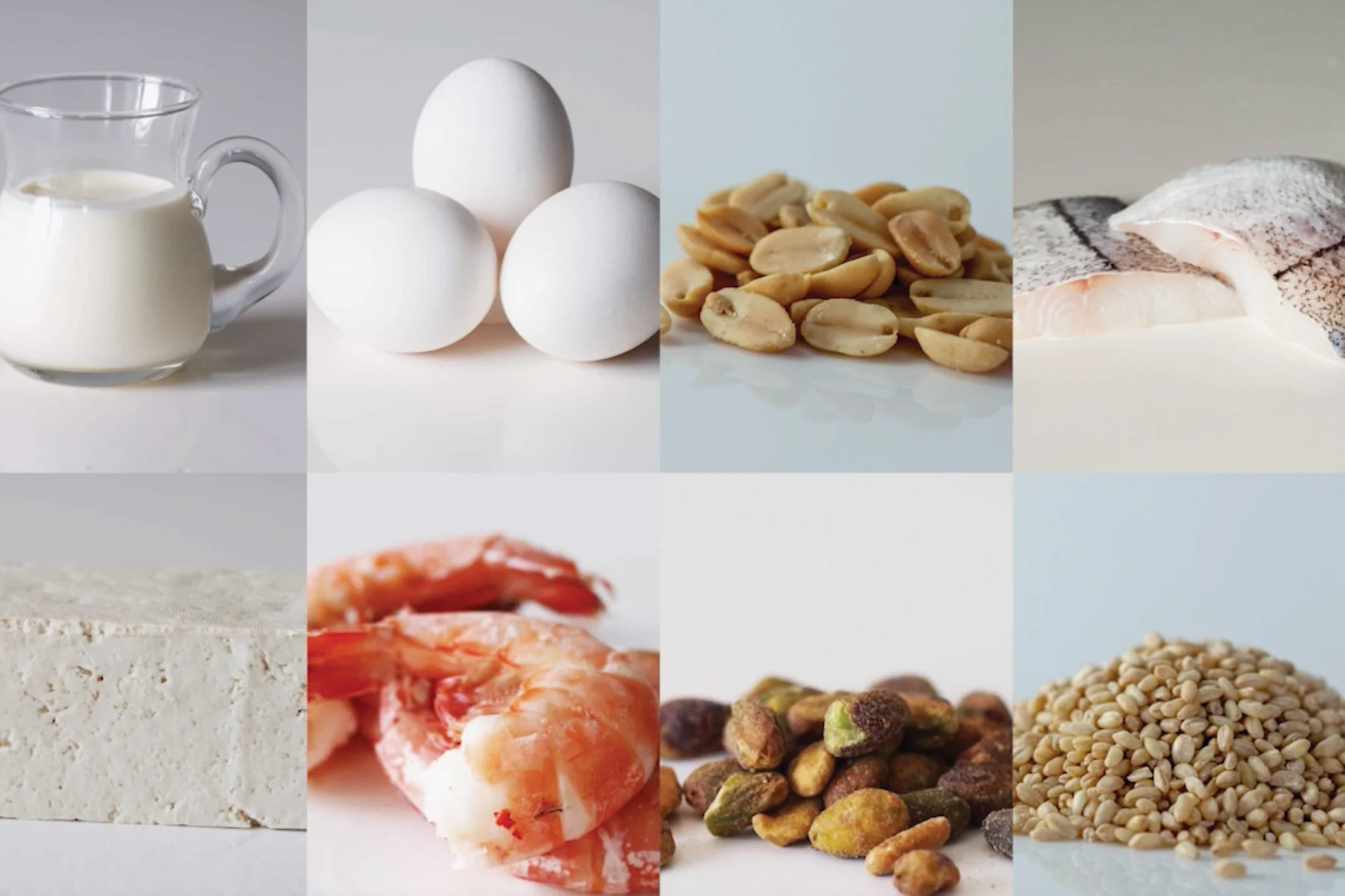 Introducing Allergens