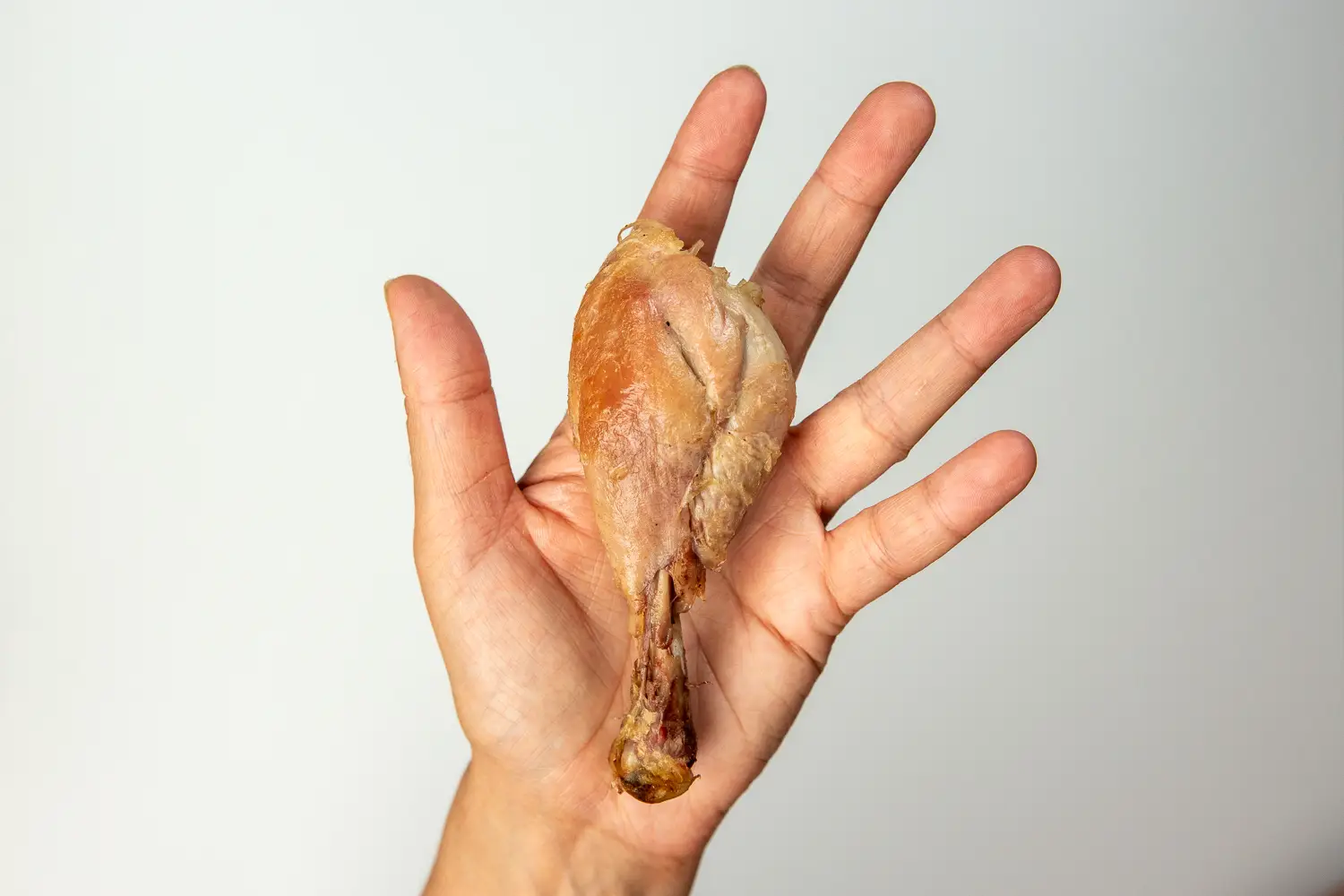 a photograph of a hand holding a chicken drumstick