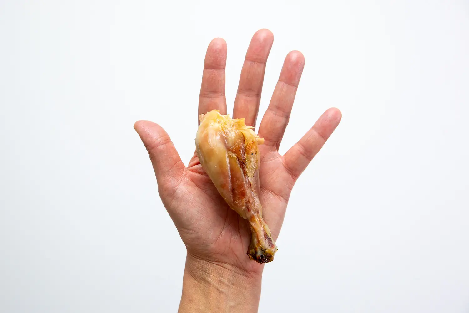 a photograph of a hand holding a chicken drumstick