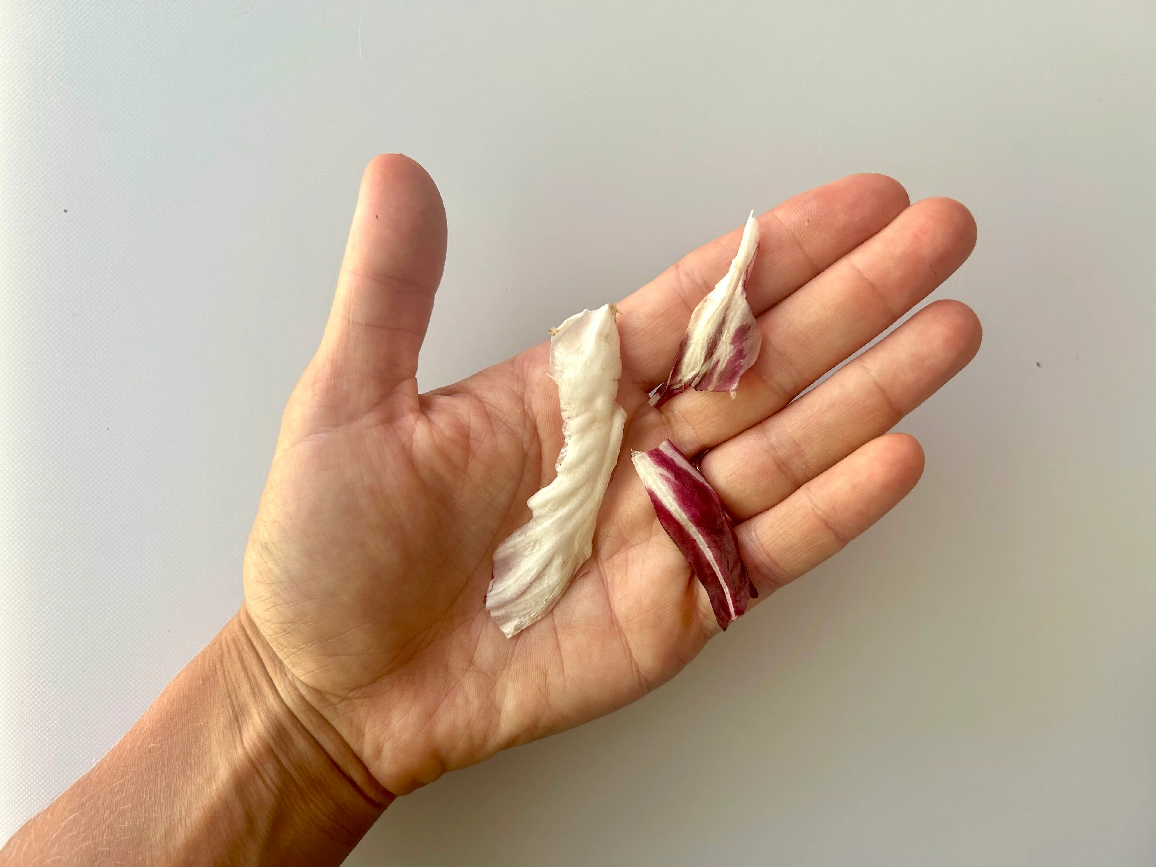 Radicchio chopped raw pieces hand pic