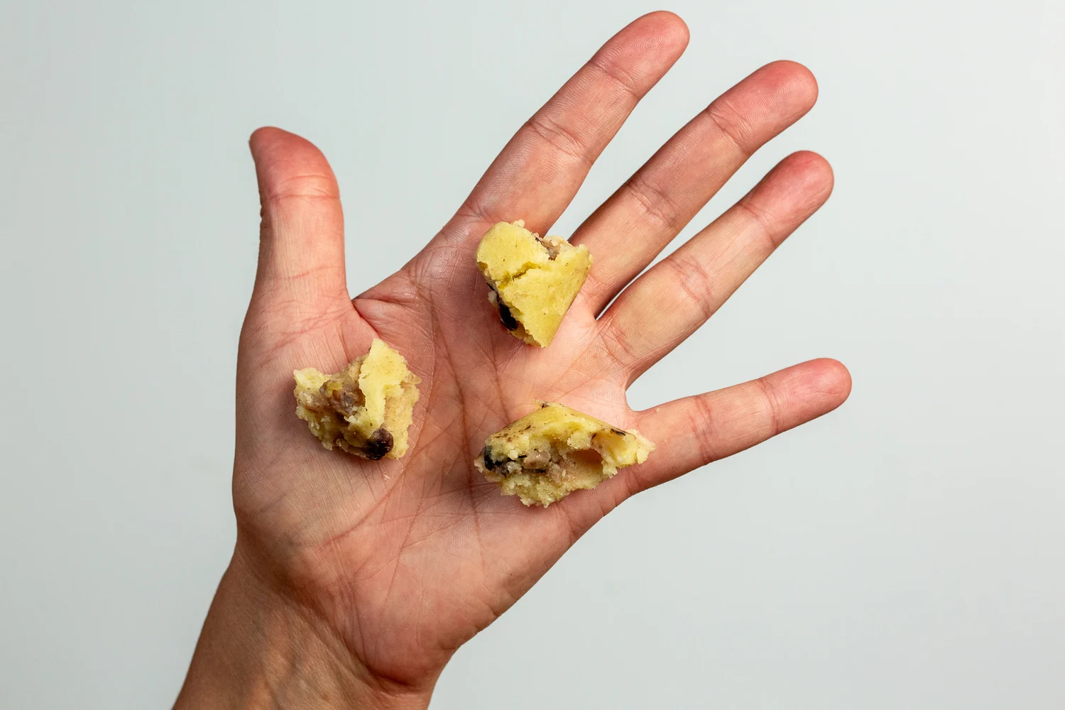 Tamales for babies 9 months+