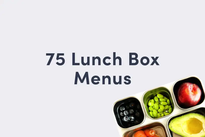 Lunch Ideas for School 