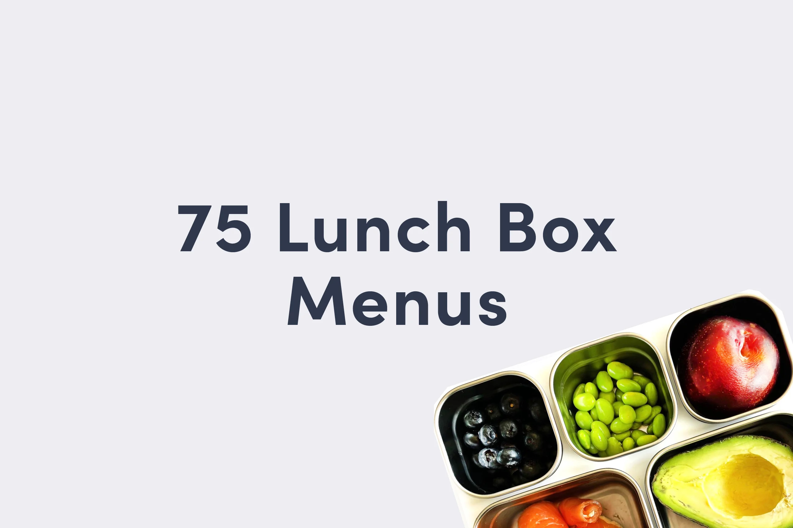 lunch box with link