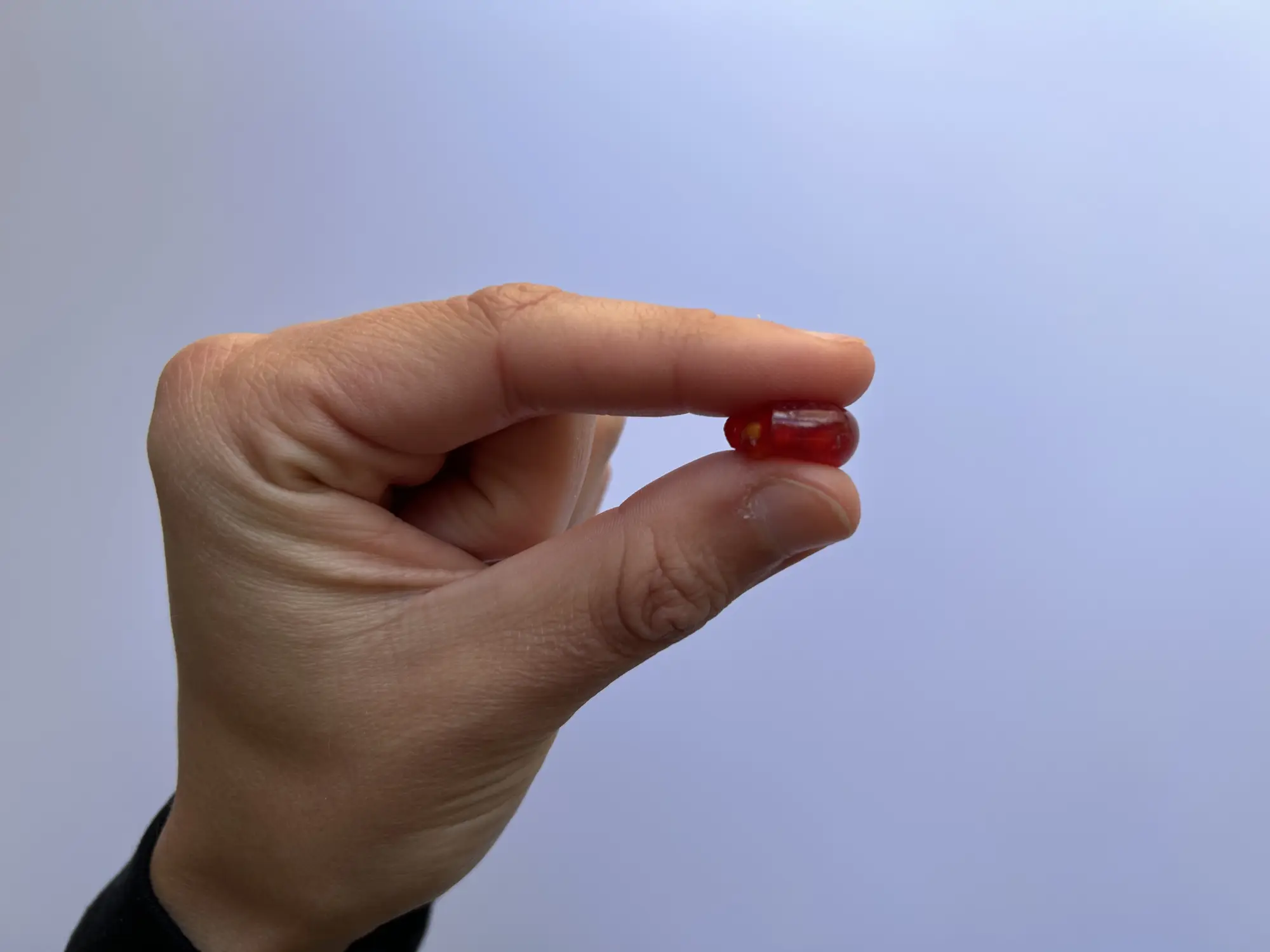 a hand gently flattening a red currant in between thumb and forefinger