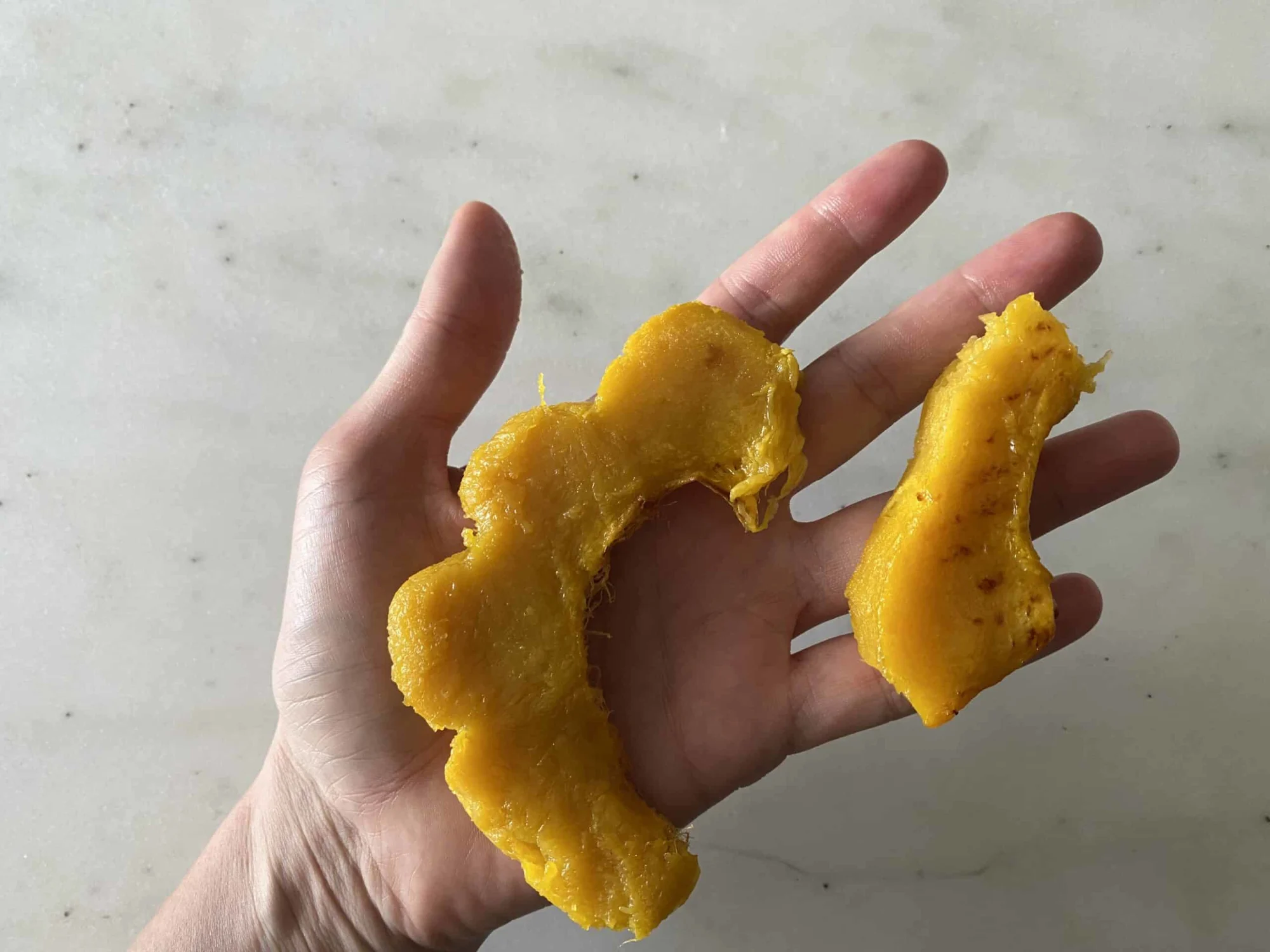 a hand holding two semi-circles of cooked, orange squash for babies starting solids