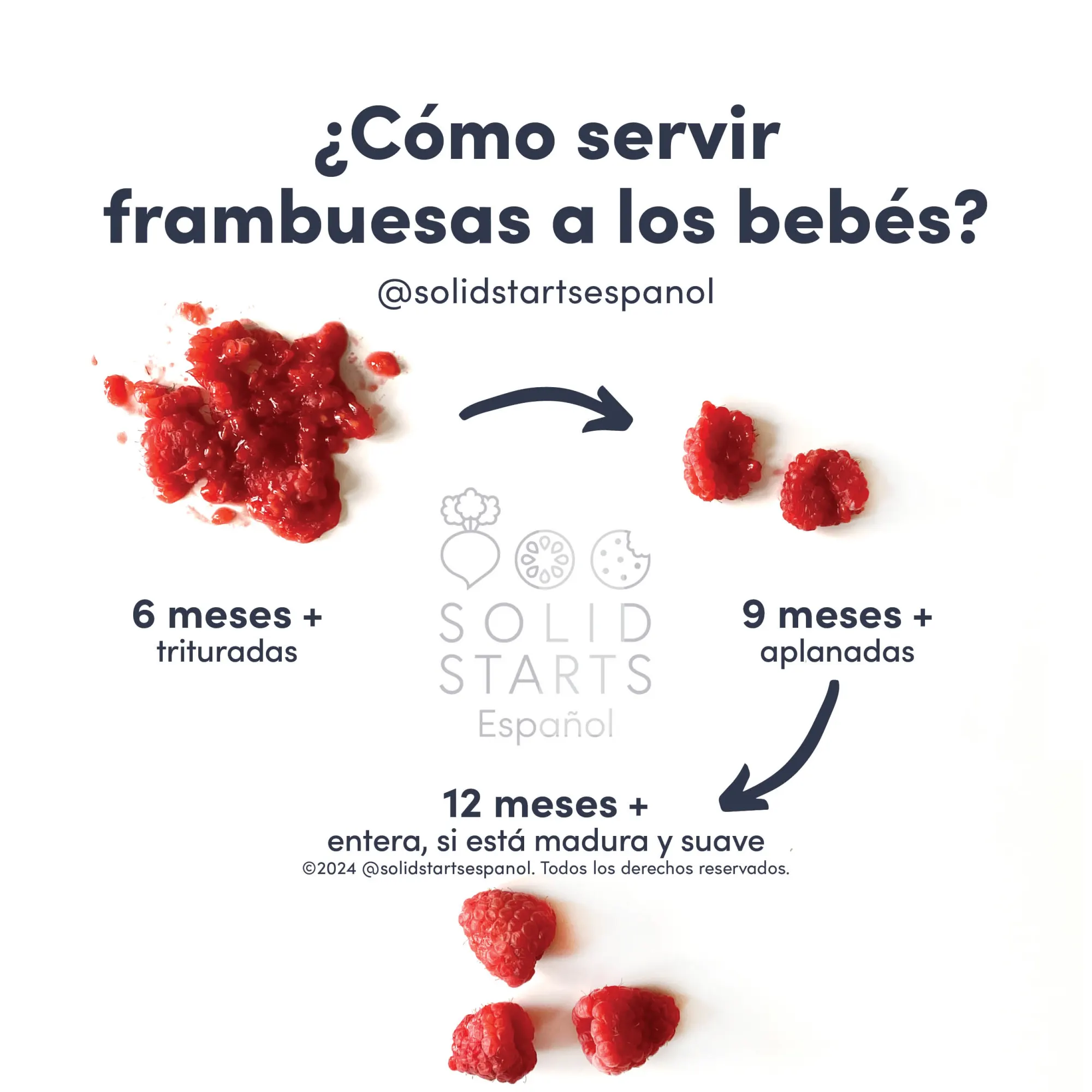 an infographic showing how to serve raspberries to babies: smashed or flattened for babies 6 months+, flattened for babies 9 months+, whole, if ripe and soft, for toddlers 12 months+
