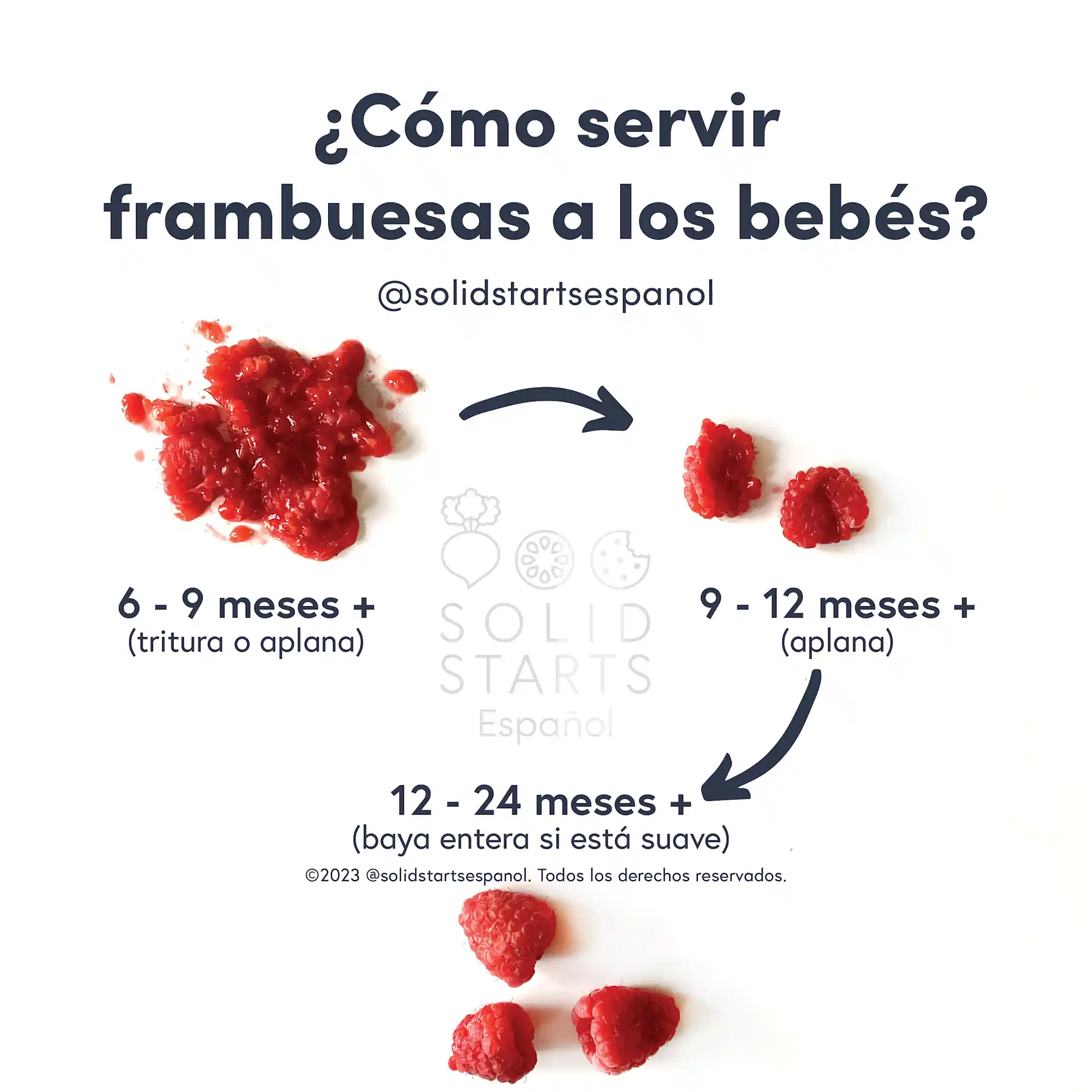 Solid Starts Raspberry ¿Cuándo pueden comer frambuesas los bebés? - Solid Starts