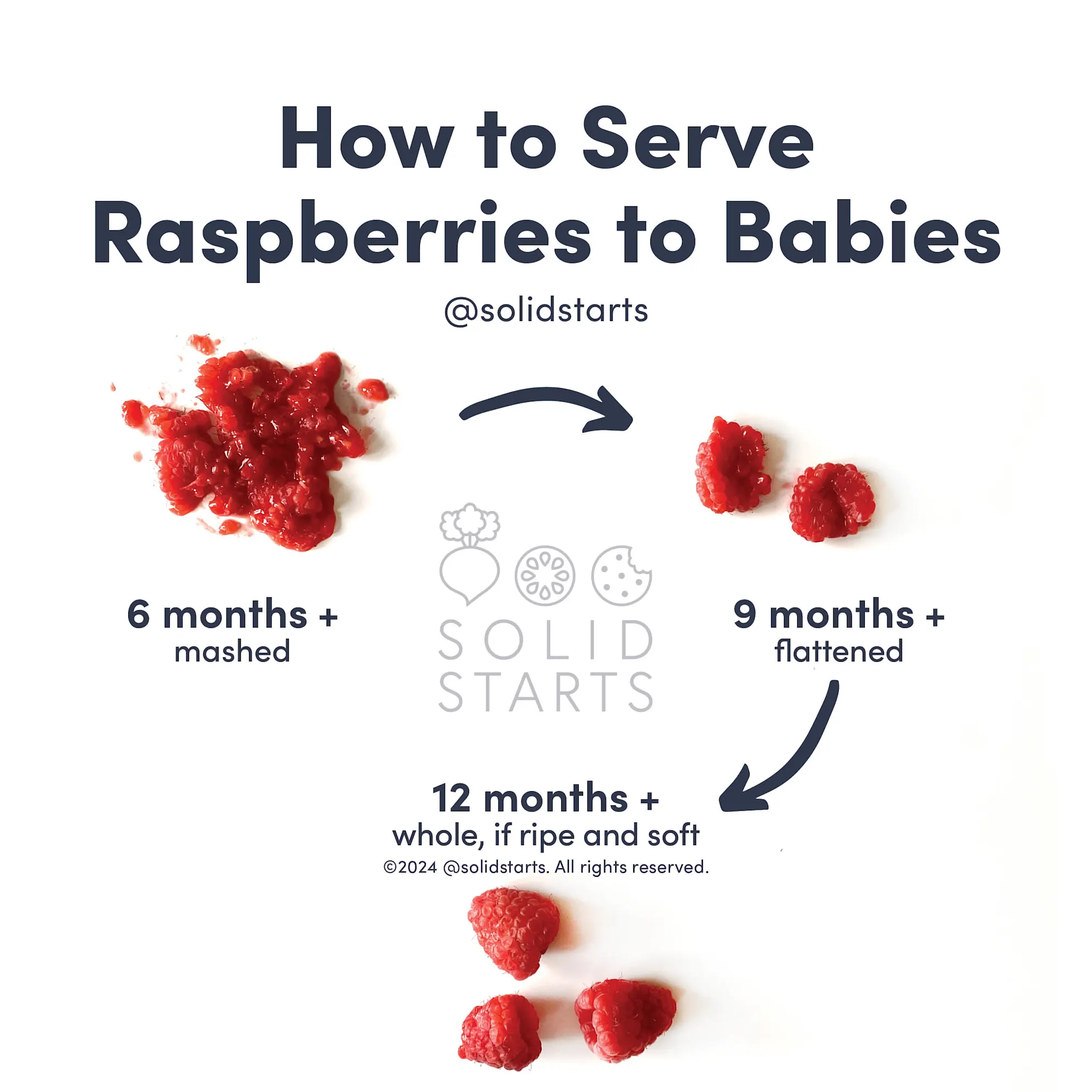 an infographic showing how to serve raspberries to babies: smashed or flattened for babies 6 months+, flattened for babies 9 months+, whole, if ripe and soft, for toddlers 12 months+