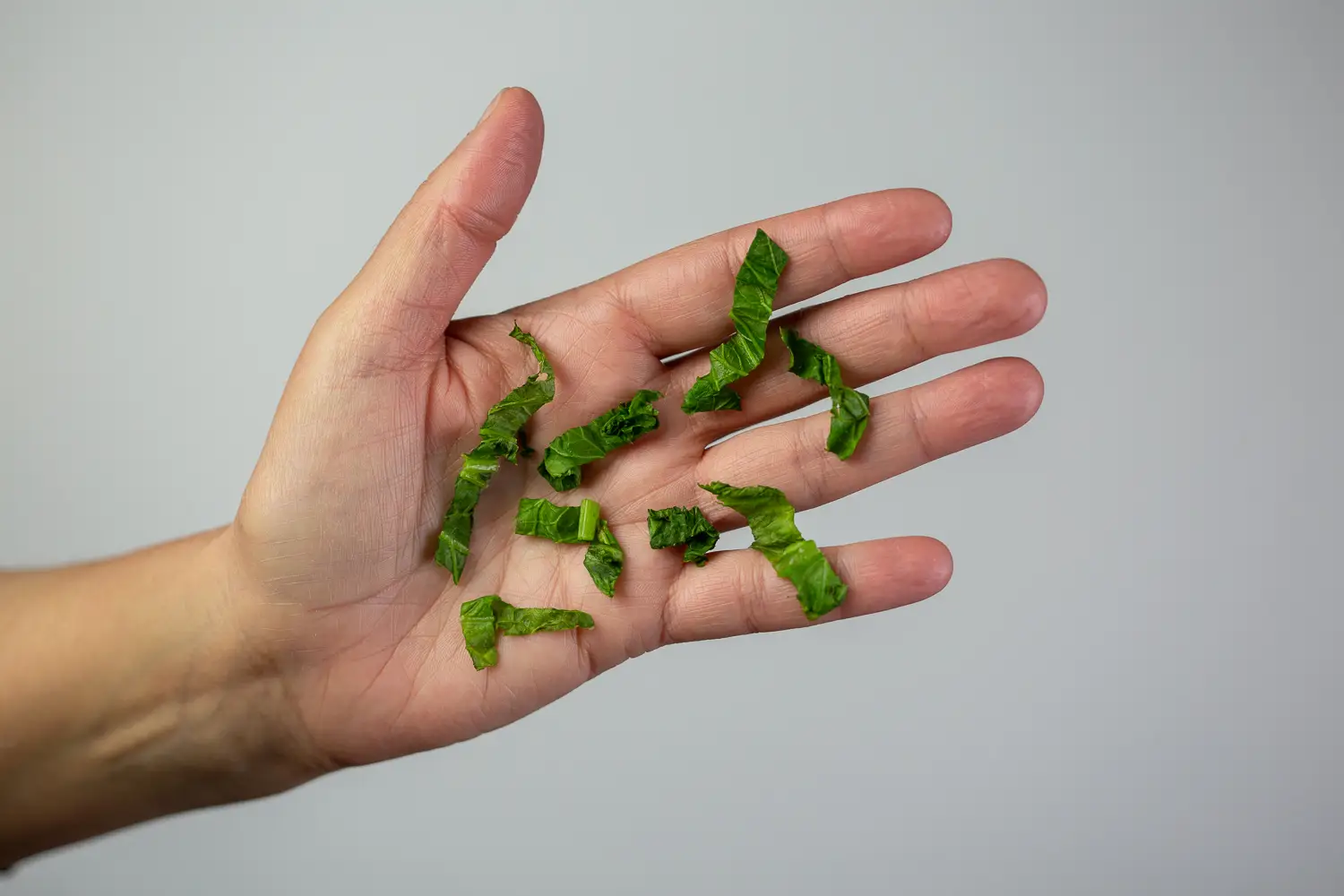 a handful of bite-sized shreds of mustard green in the palm of a hand