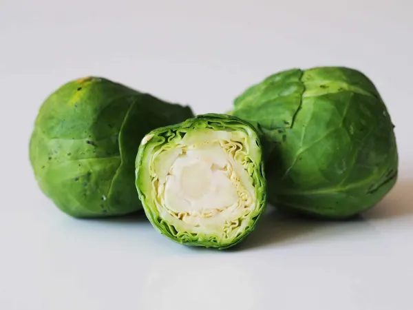 a bunch of brussels sprouts on a table before being prepared for a baby starting solid food