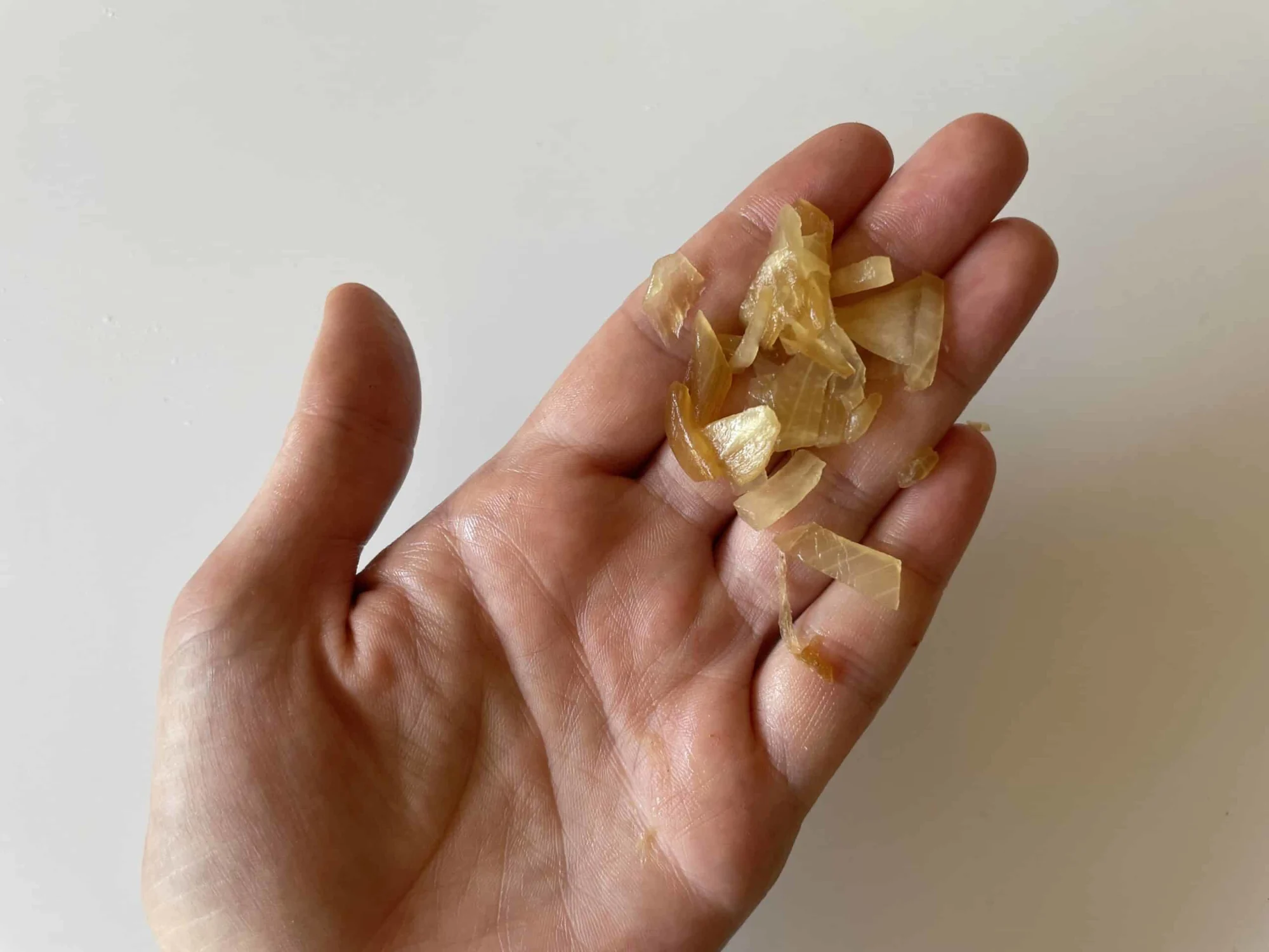 a hand holding a small pile of cooked, chopped onion for 9 months+