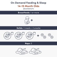 Baby Feeding Schedules By Month From 6 To 24 Months Solid Starts